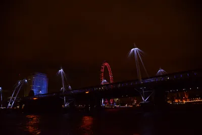 DSC_5713 (Large).JPG